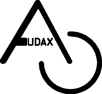 AUDAXLOG.GIF (2251 Byte)